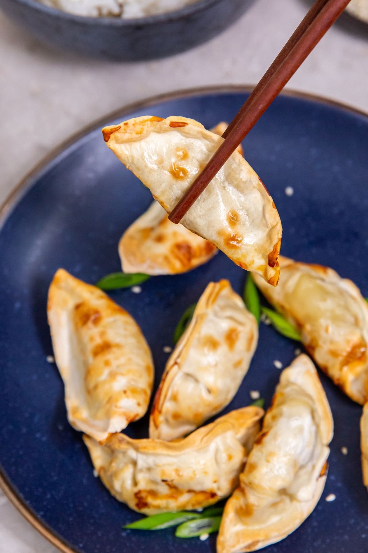 Blue plate with potstickers on it chopstick holding one