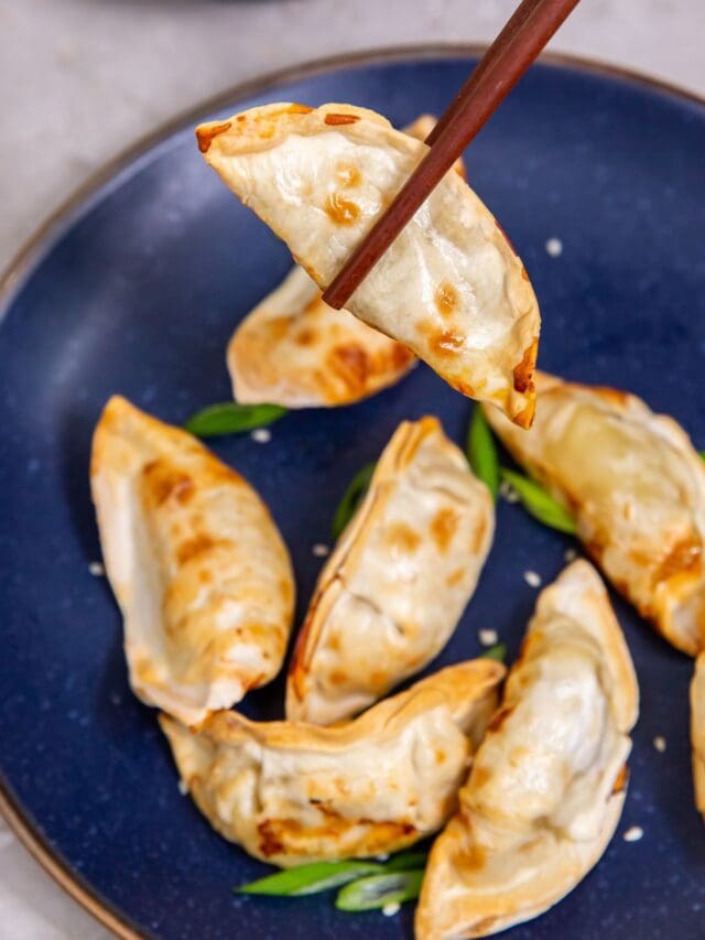 Blue plate with potstickers on it chopstick holding one