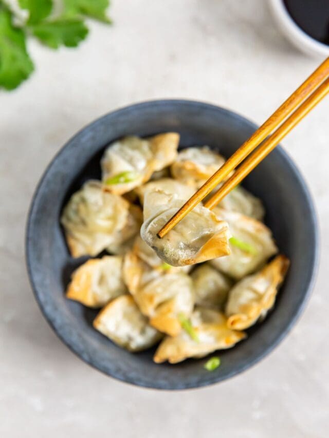 Trader Joe’s Chicken Cilantro Mini Wontons in Air Fryer