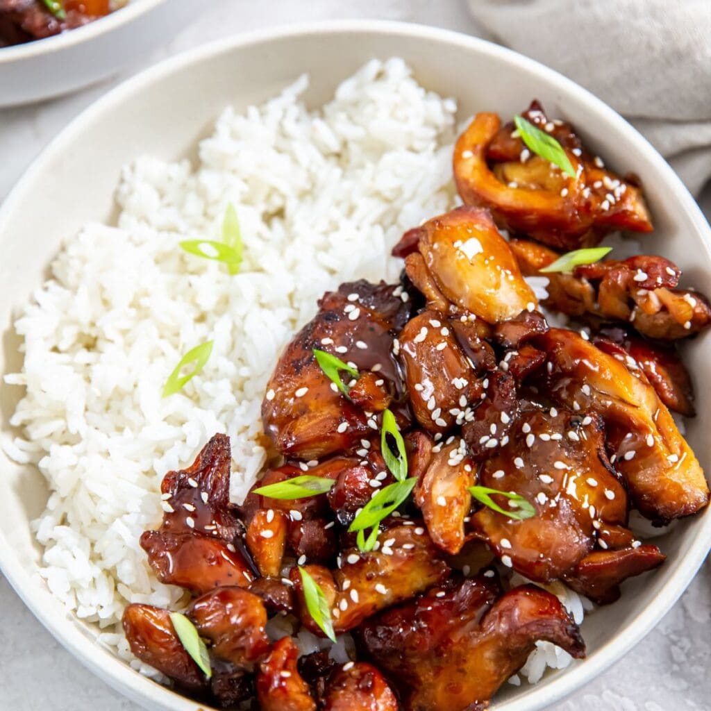 white bowl with chicken and rice inside. sprinkles with sesame seeds and scallions