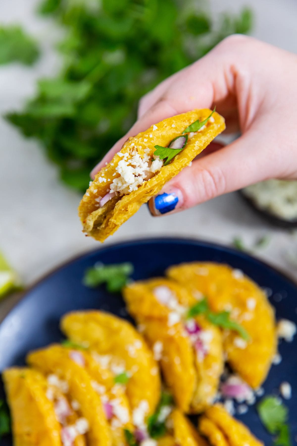 blue plate with mini tacos. parsley and towel in the back