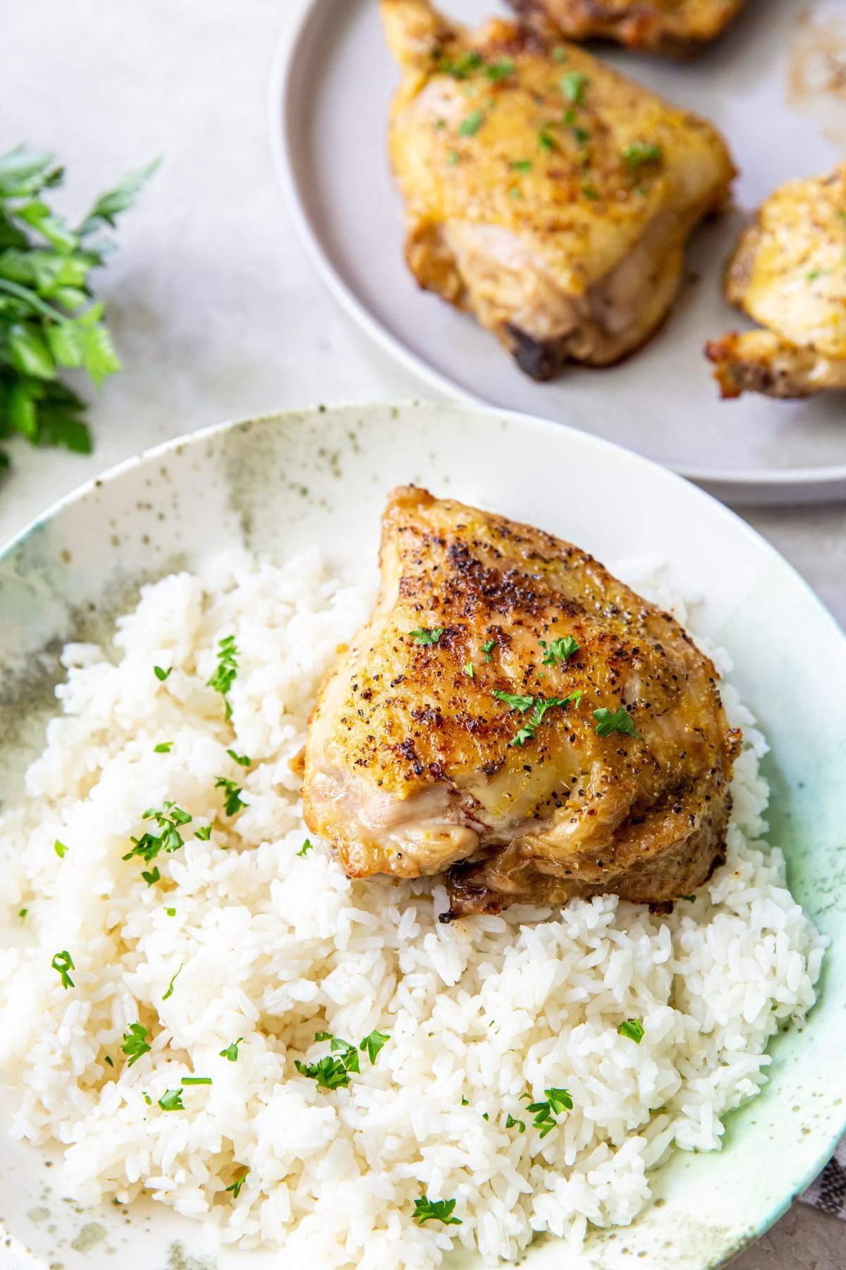 white bowl with rice and chicken inside. chicken in the background