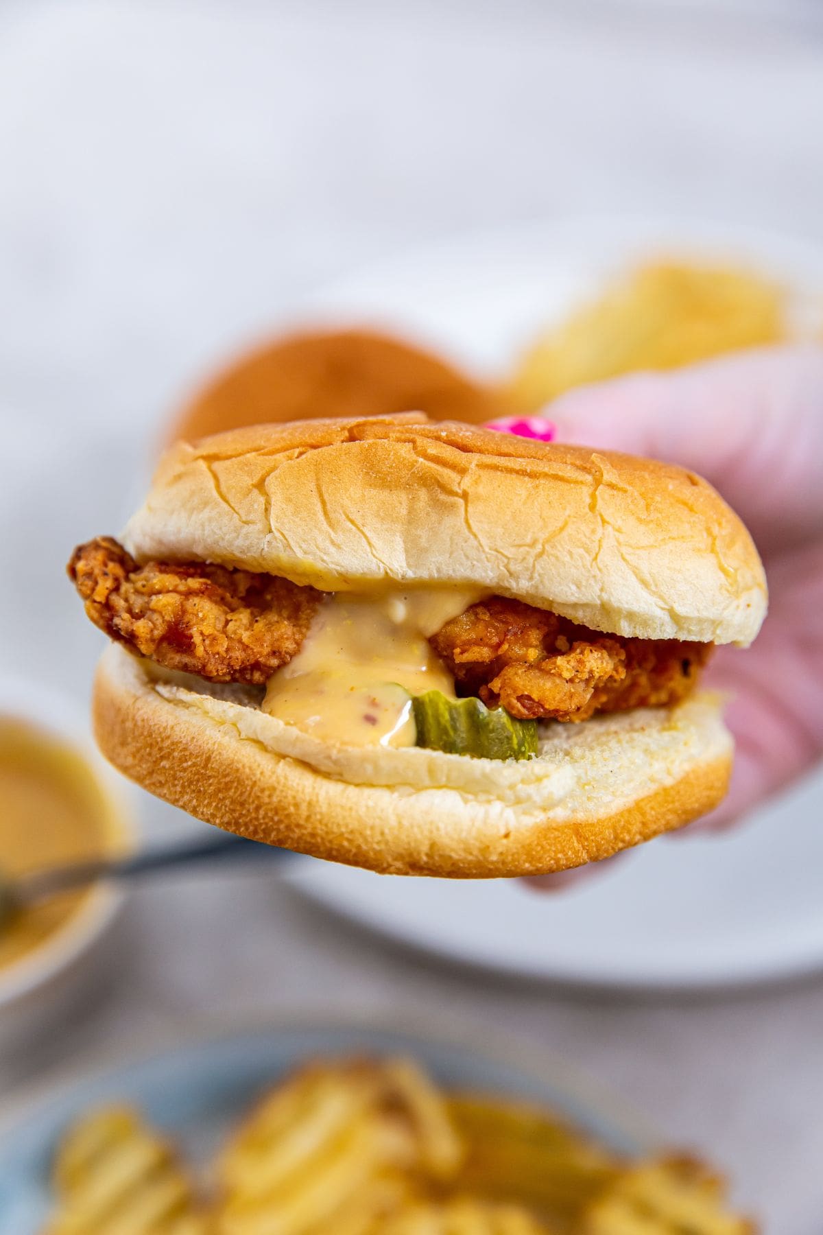 A person holding a sandwich with fries on a plate.