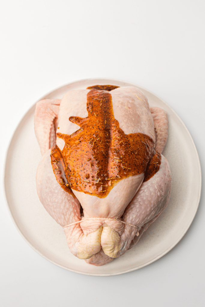 Whole chicken seasoned with spices on a round ceramic plate.