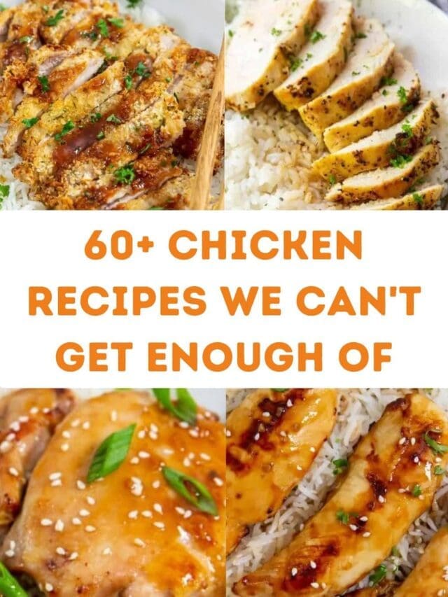 Collage of different chicken dishes with text "60+ chicken recipes we can't get enough of". Top images show sliced chicken, bottom images feature saucy chicken.