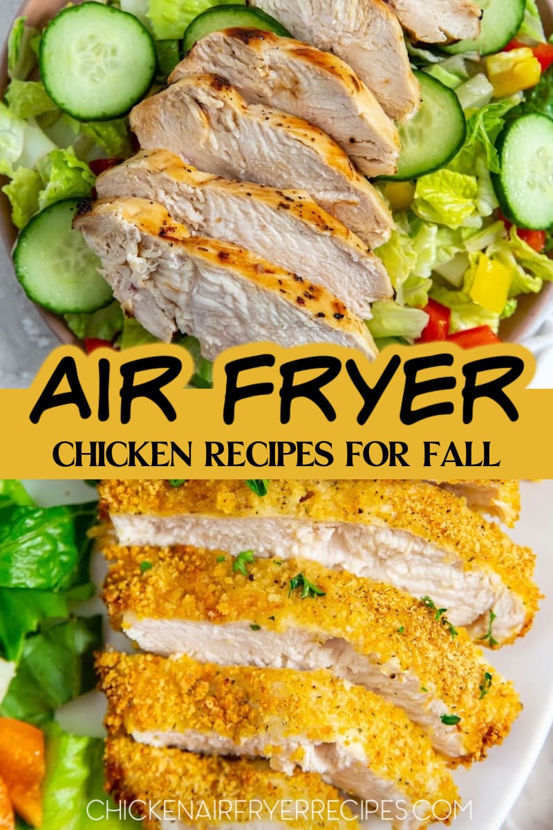 Using fall chicken breast recipes to make in your air fryer is a good way to free up time while still enjoying a delicious and easy chicken dinner. Air Fryer Chicken Recipes | Healthy Chicken Recipes | Fall-Inspired Chicken Dishes | Easy Chicken Meals | Quick Chicken Dinner Ideas | Air Fryer Cooking Tips | Delicious Chicken Recipes | | Low-Carb Chicken Meals | Family-Friendly Chicken Dinners | Cozy Chicken Dinners | Comfort Food Chicken Recipes | Homestyle Chicken Dinners