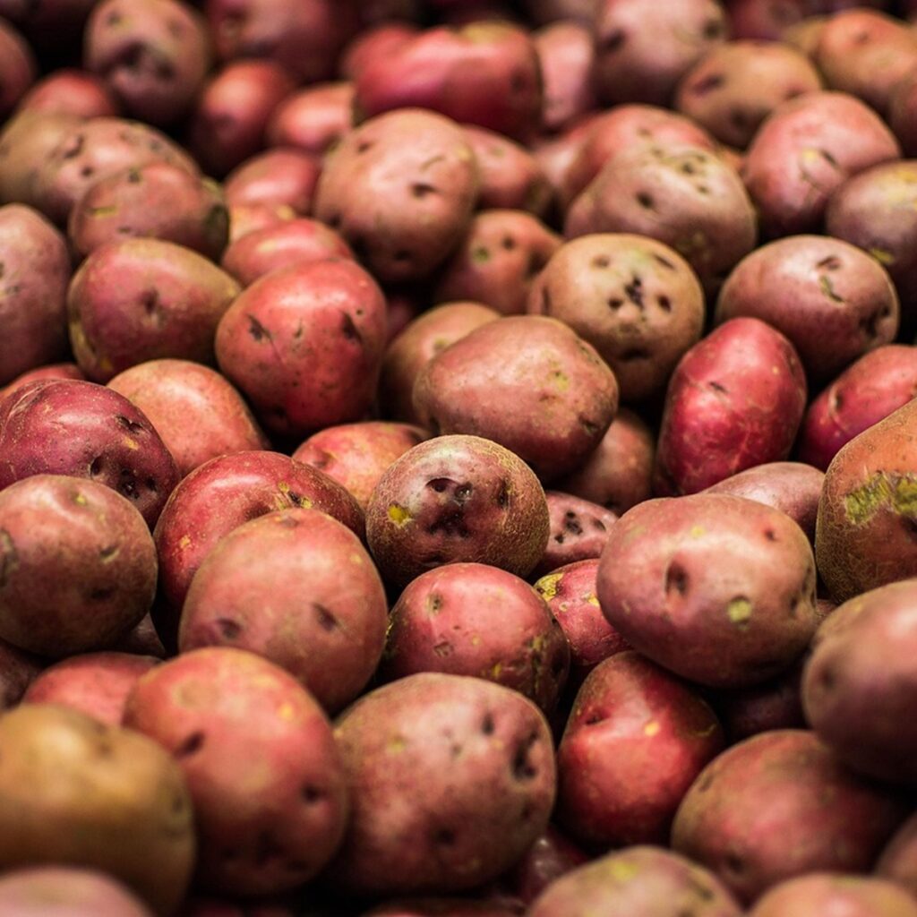 How to Make Air Fryer Red Potatoes a Pile of Red Potatoes