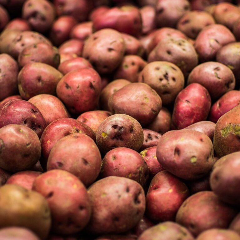 How to Make Air Fryer Red Potatoes a Pile of Red Potatoes