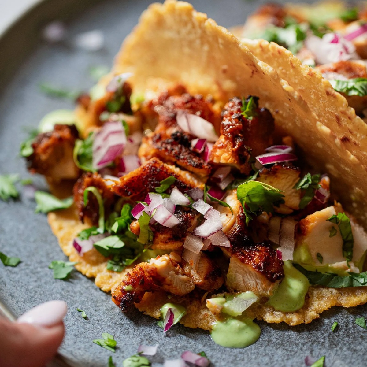 11 Quick Air Fryer Chicken Taco Recipes for Taco Night