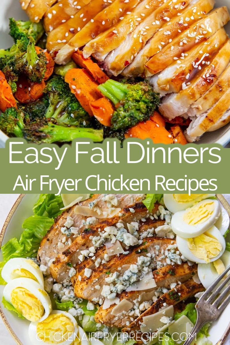Using fall chicken breast recipes to make in your air fryer is a good way to free up time while still enjoying a delicious and easy chicken dinner.